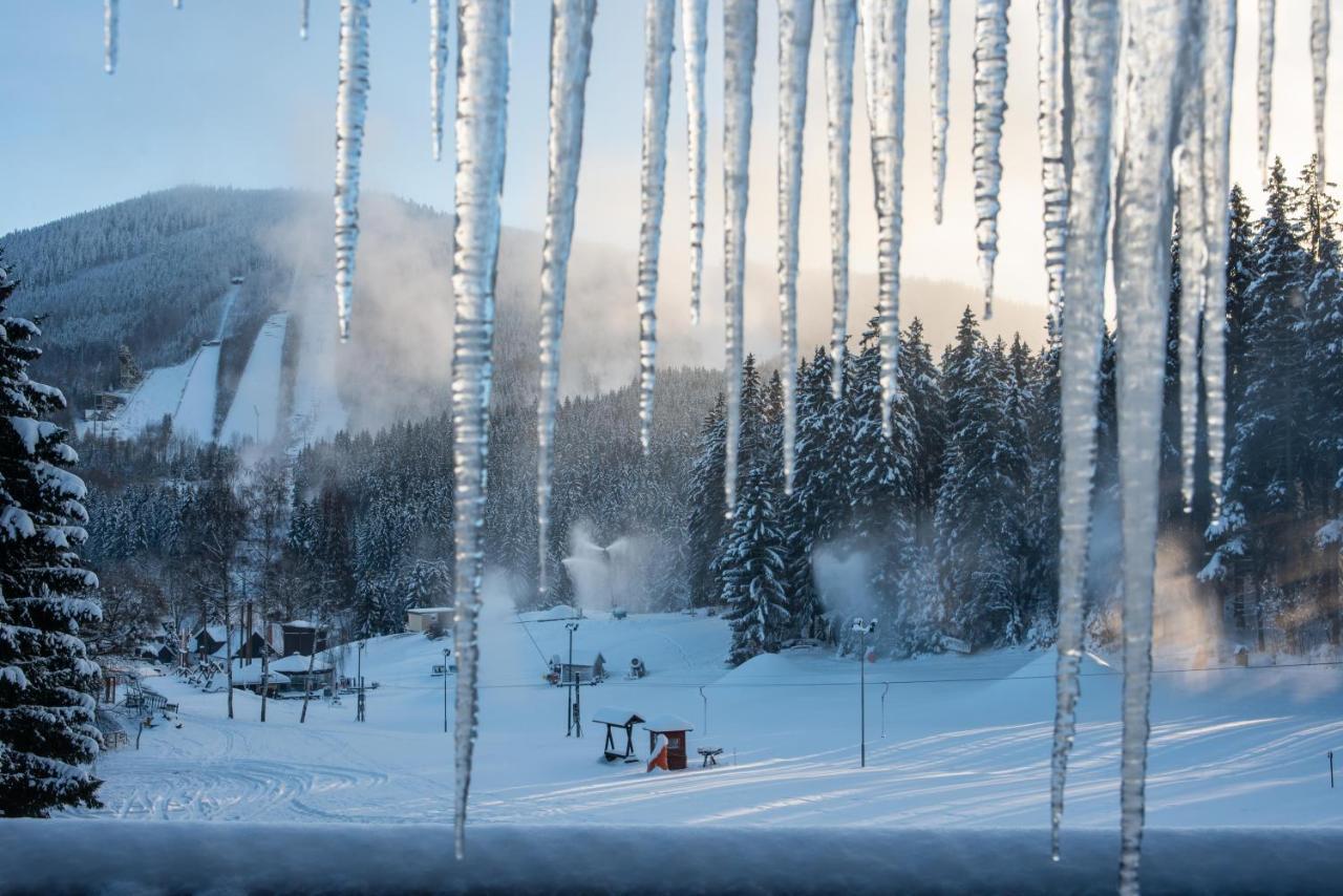 Wellness Hotel Sedy Vlk Harrachov Exterior photo