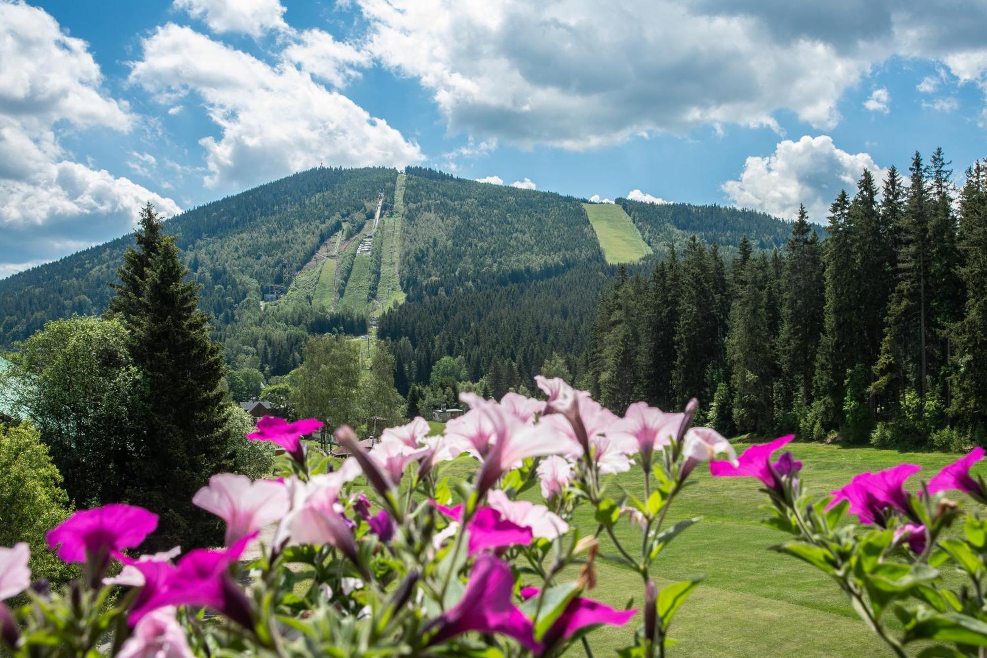 Wellness Hotel Sedy Vlk Harrachov Exterior photo