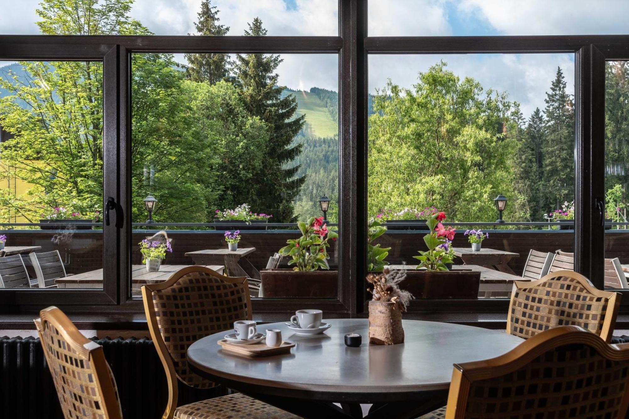 Wellness Hotel Sedy Vlk Harrachov Exterior photo